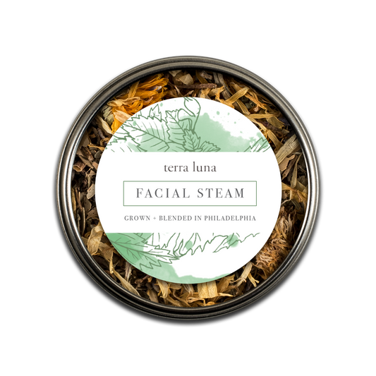 Vapor facial